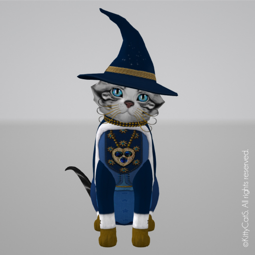 Blue Moon Witch - Abracadabra Enchanted Collection fall 2022