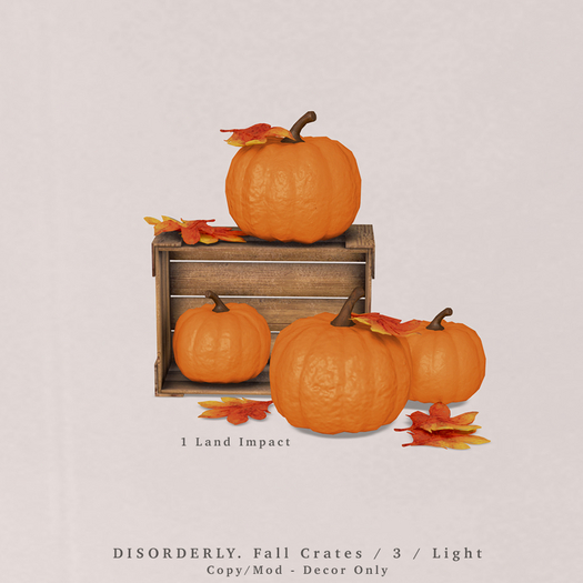 DISORDERLY. / Fall Crates / 3 / Light