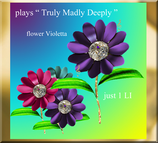 Flower Violeta"Truly,Madly,Deeply"