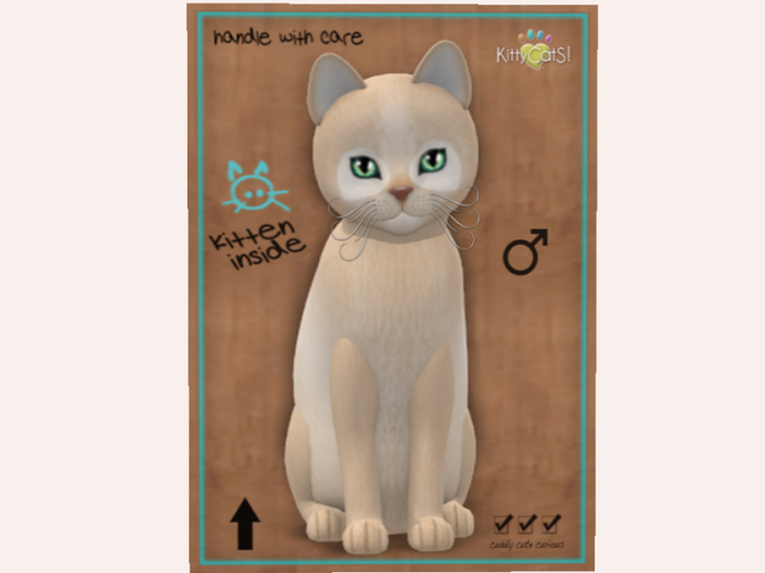 NBK M Pandie - Fawn Retired Fur