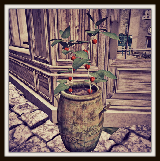 RHC Chinese Lantern Container