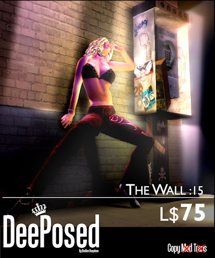 [DP] The Wall 15 by DeePosed