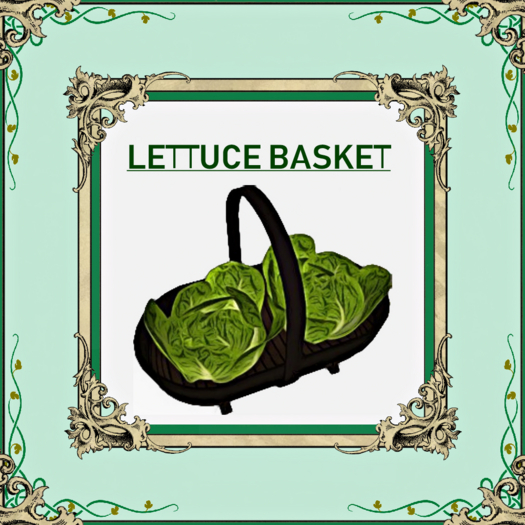 DFS Lettuce Basket