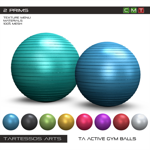 ::TA Active Gym Balls