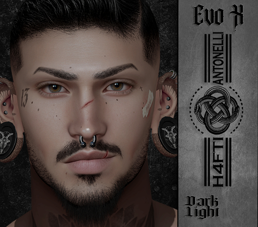 :: H4 // EVO X Eyebrows Luca ::