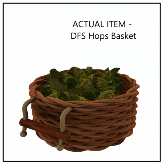 DFS Hops Basket - ACTUAL ITEM