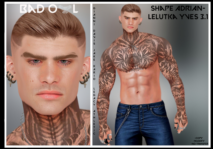 SHAPE ADRIAN-LELUTKA YVES 3.1