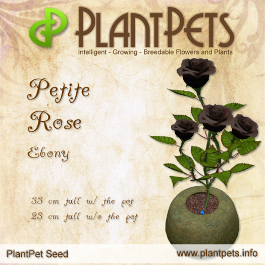 PlantPet Seed [Petite Rose *Ebony*] RARE