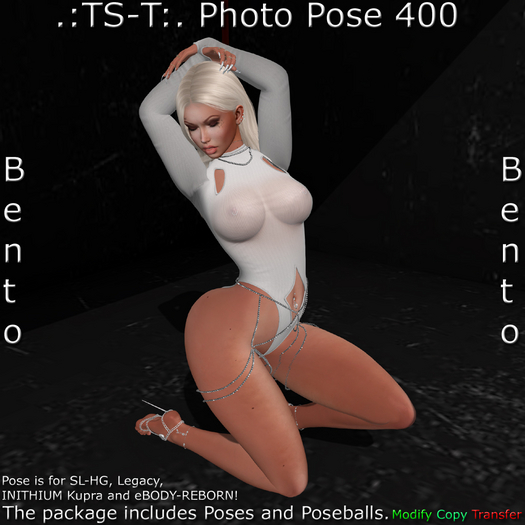 .:TS-T:. Photo Pose 400 Bento (Wear Me)