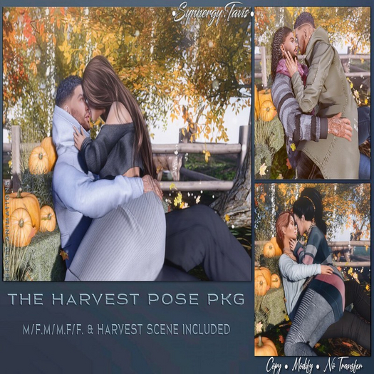 SYNNERGY DISCOUNT// THE HARVEST POSE  [Add to unpack]