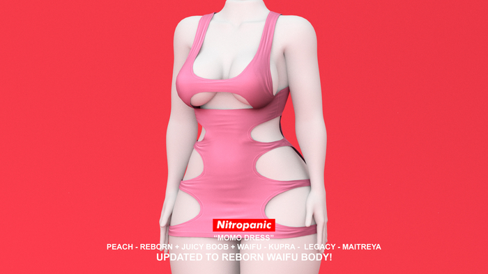 Nitropanic_Momo Dress PINK (ADD)