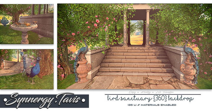 SYNNERGY.TAVIS//Bird Sanctuary {360} Backdrop