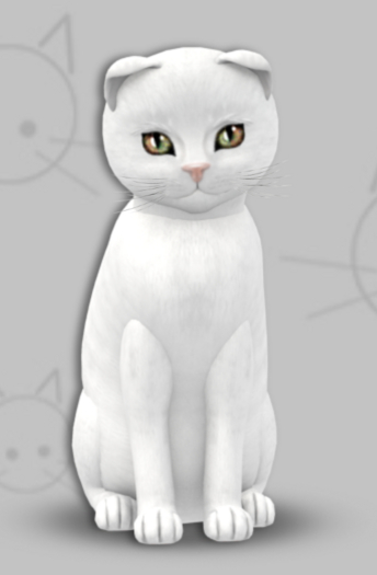 F 8T Russian - White