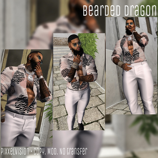 PX - Bearded Dragon Posepack