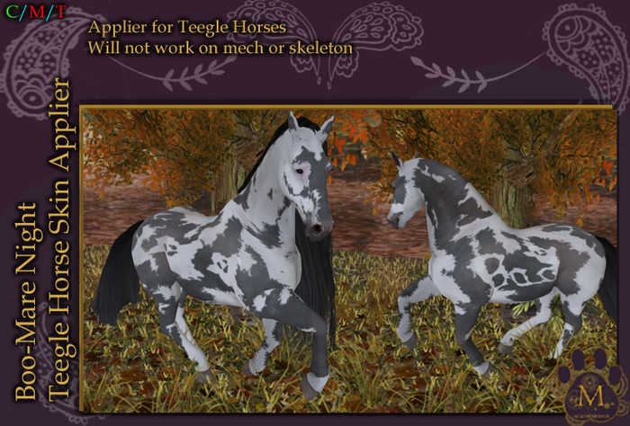 *M* teegle horse Boo Mare night Unpacker