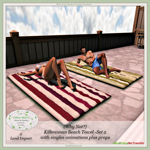 {Why Not?} Kilbrennan Beach Towel -Set 2