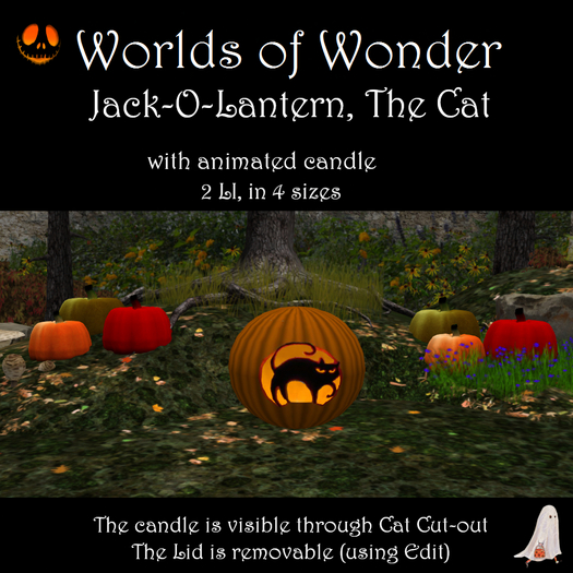 WoW Jack-O-Lantern "The Cat"