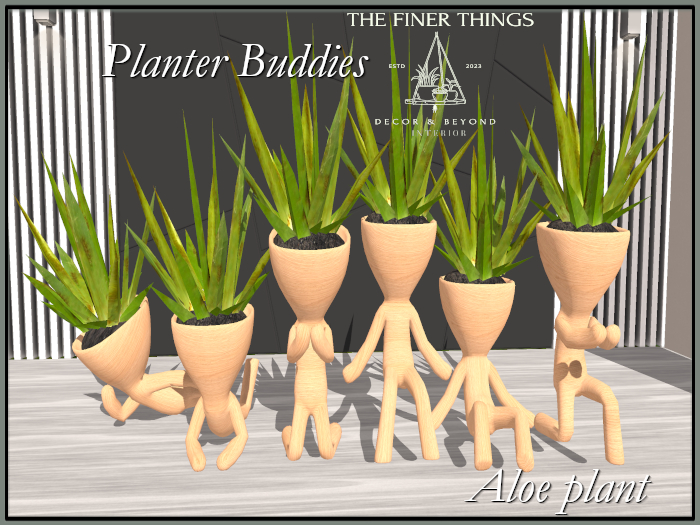Planter Buddies (Aloe Plant)
