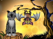 'KittyCatS Box-Fur: Genesis - Bandit II-Size: Normal-Boy