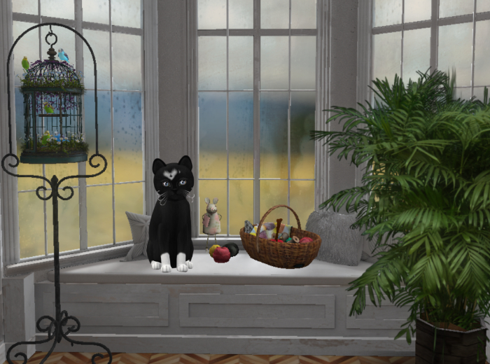 KittyCatS-Fur: Genesis - Domino IV-Size: Normal-Boy