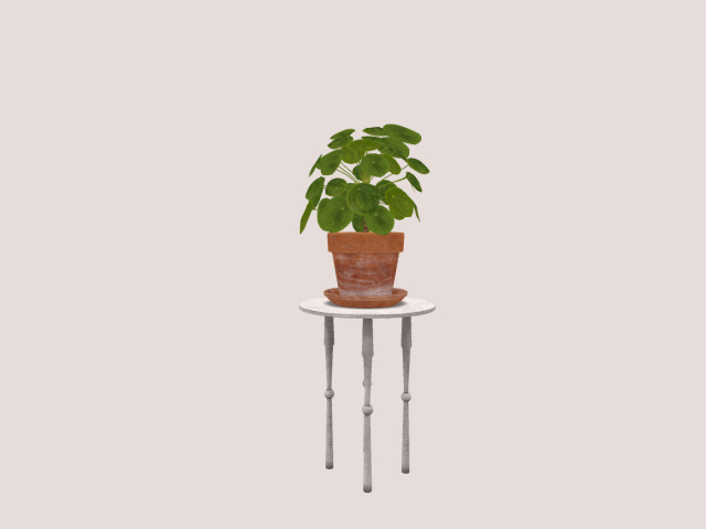 Green Plant On Round Table :)