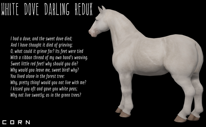 C O R N - White Dove Darling Redux