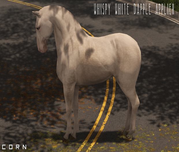 C O R N - Whispy White Darling