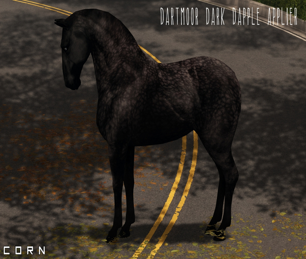 C O R N - Dartmoor Dark Darling