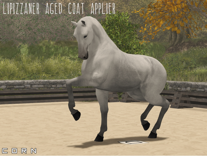 C O R N - Lippizaner Olde