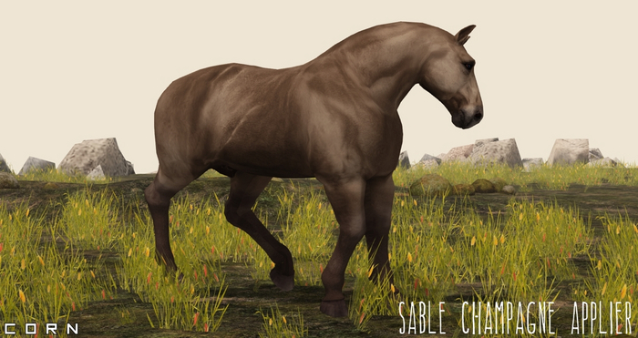 C O R N - Sable Champagne