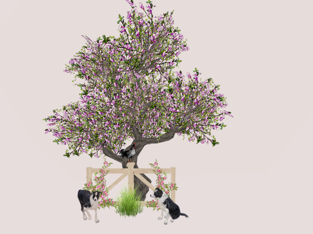 Tree Moving In The Wind.