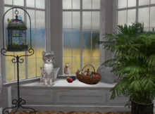 KittyCatS-Fur: Bengal - Snow-Size: Normal-Girl
