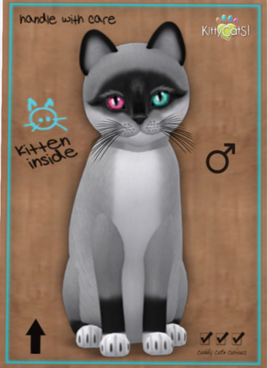 KittyCatS Box - Foxie - Salt & Pepper Mask