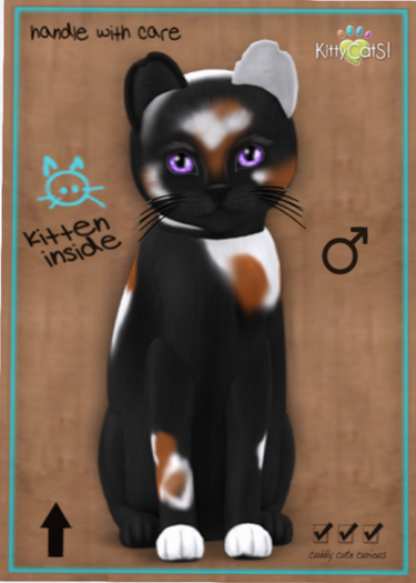 KittyCatS Box - Chateau Cat - 3 Spot No. 2