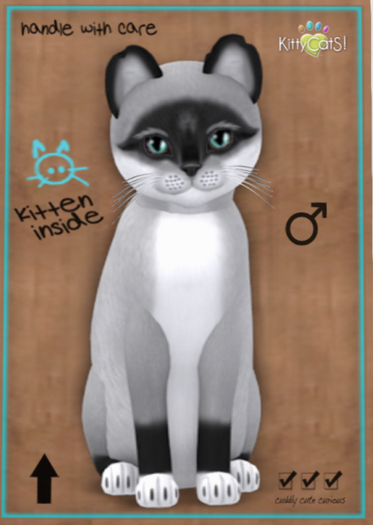 KittyCatS Box - Foxie - Salt & Pepper Mask