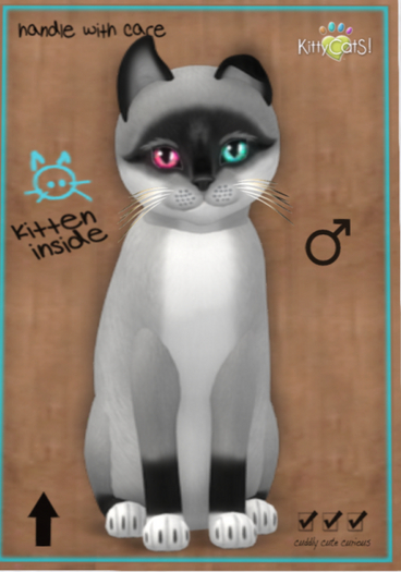 KittyCatS Box - Foxie - Salt & Pepper Mask