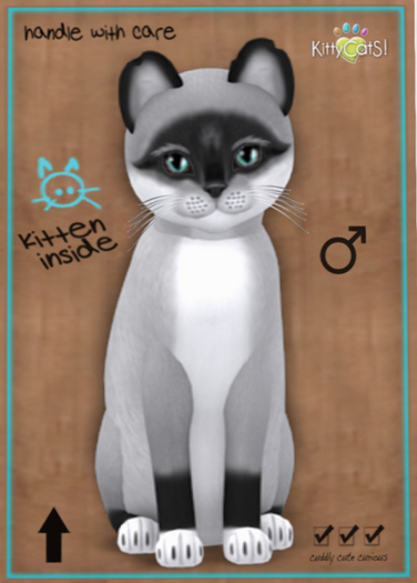 KittyCatS Box - Foxie - Salt & Pepper Mask