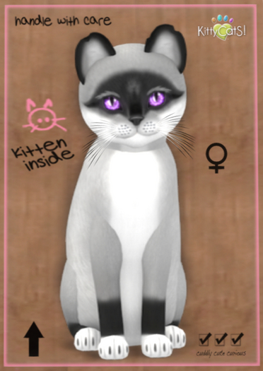 KittyCatS Box - Foxie - Salt & Pepper Mask