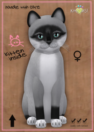 KittyCatS Box - Foxie - Salt & Pepper Mask