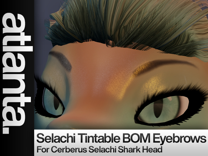 atlanta. - Selachi Tintable BOM Eyebrows