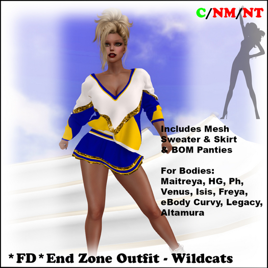 *FD* Endzone Outfit [Boxed] Wildcats