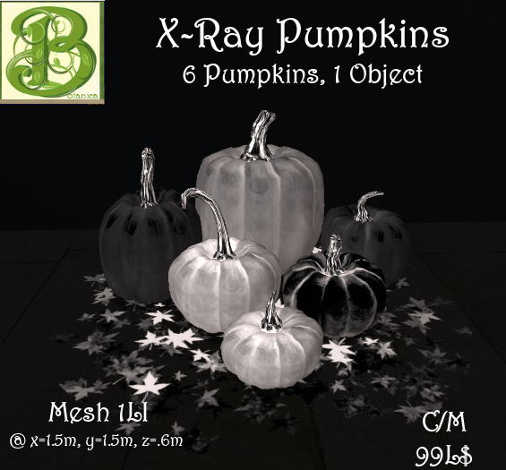 6  X - Ray Pumpkins, 1LI