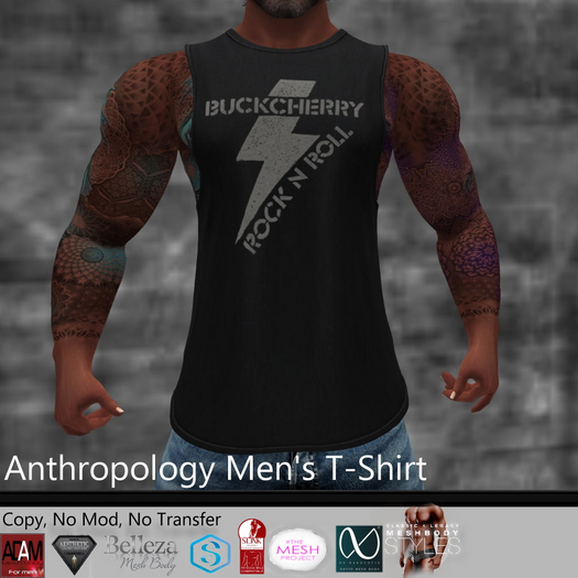 Buckcherry Concert Shirt Men's T-Shirt (MATL)