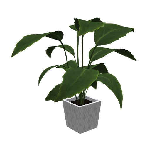 Large Plant in Pot  