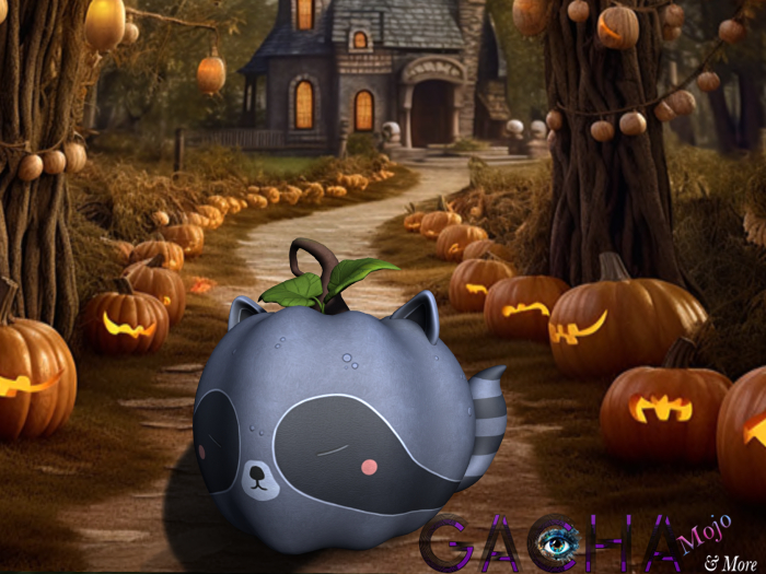 1.YOKAI - Cute Animal Pumpkins - Raccoon RARE