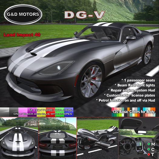 G&D MOTORS DG-V