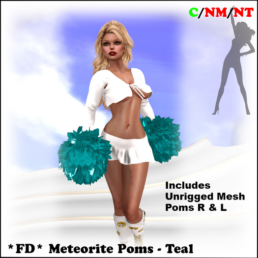 *FD* Meteorite Pompom Set [Boxed] Teal