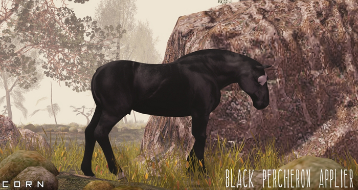 C O R N - Black Percheron Applier