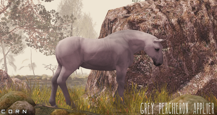 C O R N -  Grey Percheron Applier