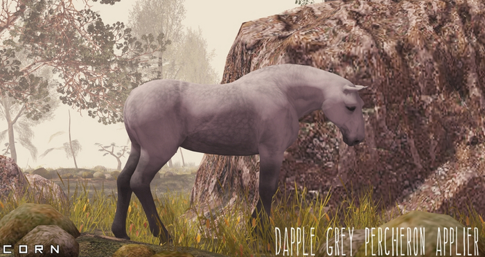 C O R N - Grey Dapple Percheron Applier